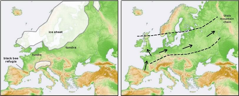 ice sheet distribution